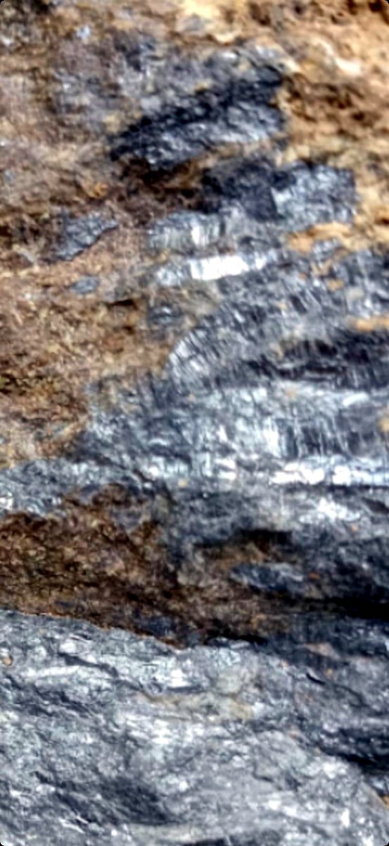 Close-up of metallic antimony veining in host rock